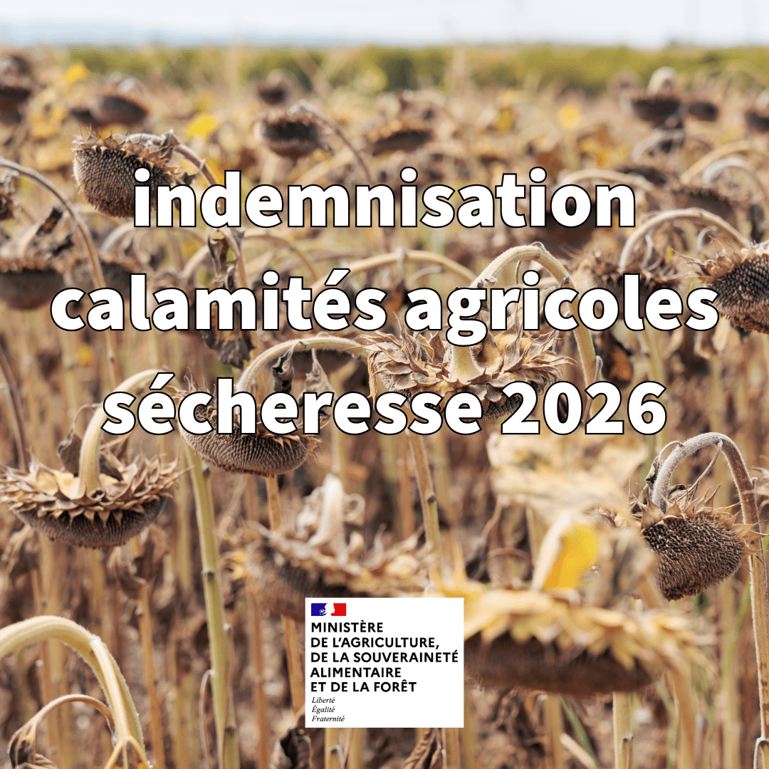 Sans titre - 29 octobre 2026 à 15.09.40